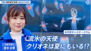 國本未華